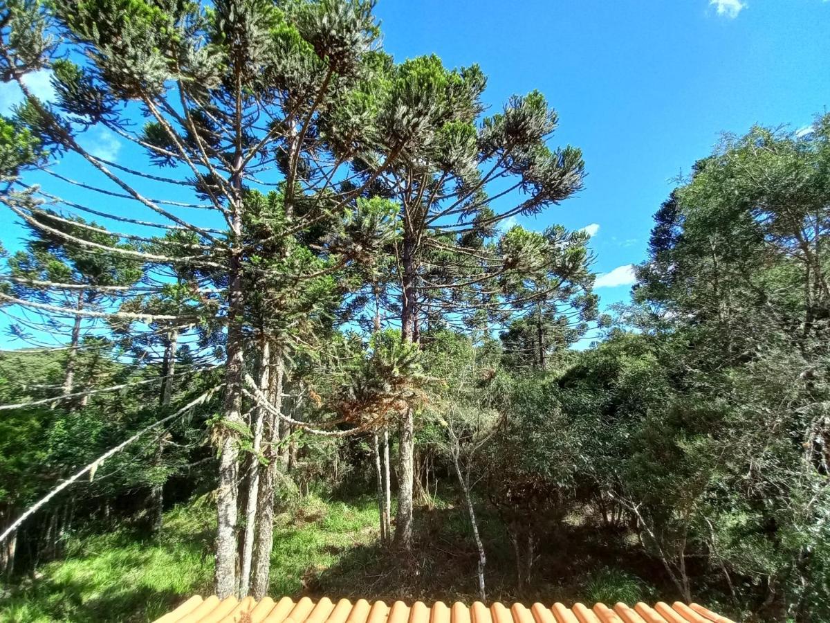 Cabana Na Floresta Rincao Do Fortaleza Cambará Exterior photo